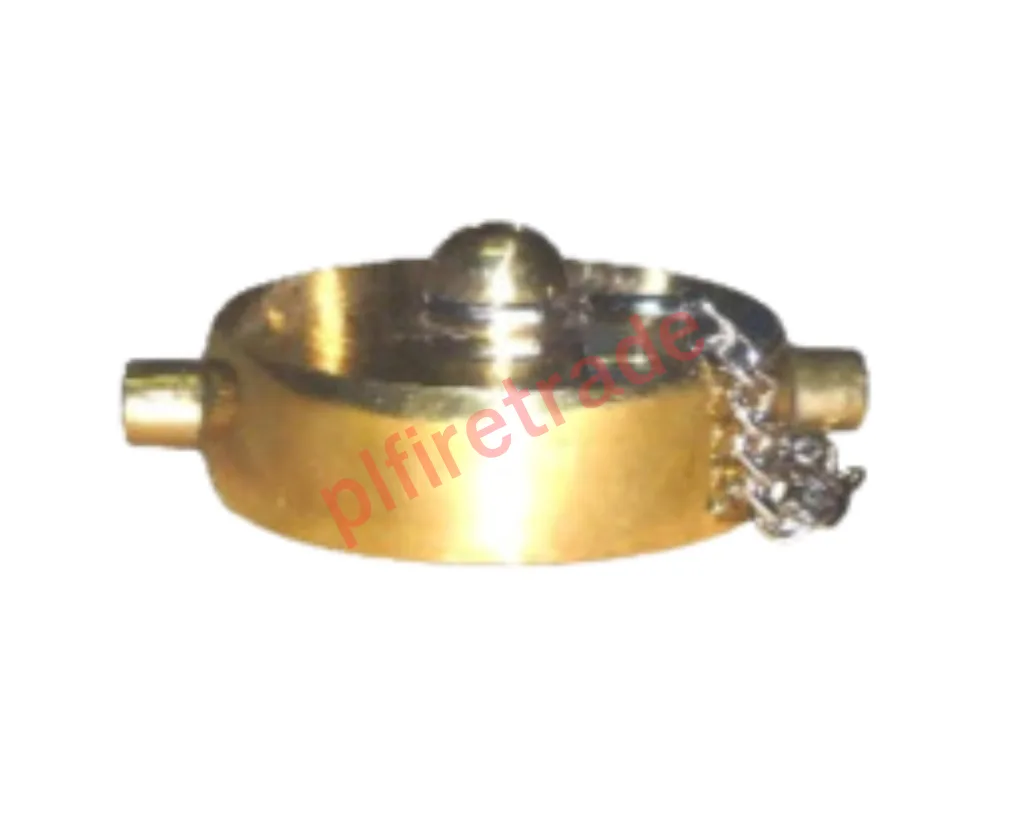 ฝาปิดต่างๆ (CAPS), ฝาปิดต่างๆ (CAPS) > ฝาปิดเกลียวใน (PVC/อลูมิเนียม/ทองเหลือง) (ดูเพิ่มเติม++)